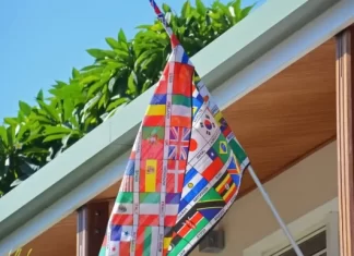 Hvor mange niveauer er der i Duolingo